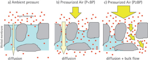 Figure 4. Graphic illustration of the integrity testing principle: When a differential pressure is applied across a completely wetted membrane, the pores are blocked and only low quantities of gas molecules have the chance to pass the membrane by diffusion. When the differential pressure exceeds the bubble point, the wetting liquid is forced out by the biggest pores, leading to an over-proportional increase of the air flow. This again leads to a pressure decrease on the upstream side of the filter which cam be detected by adequate sensors. This behaviour is used for identifying the BP of a membrane.